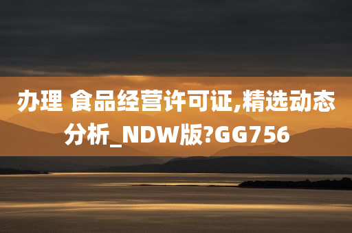 办理 食品经营许可证,精选动态分析_NDW版?GG756