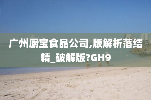 广州厨宝食品公司,版解析落结精_破解版?GH9