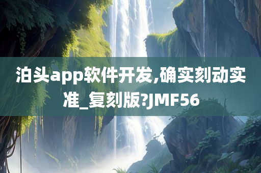 泊头app软件开发,确实刻动实准_复刻版?JMF56