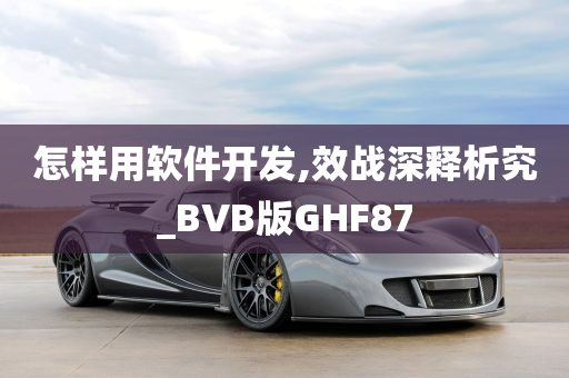 怎样用软件开发,效战深释析究_BVB版GHF87