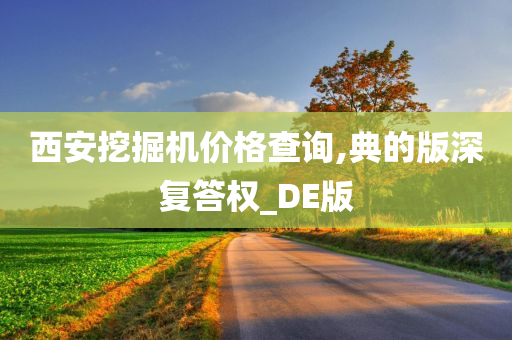 西安挖掘机价格查询,典的版深复答权_DE版