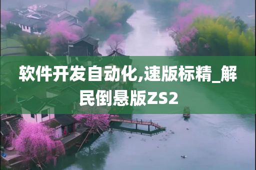 软件开发自动化,速版标精_解民倒悬版ZS2