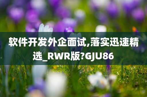 软件开发外企面试,落实迅速精选_RWR版?GJU86