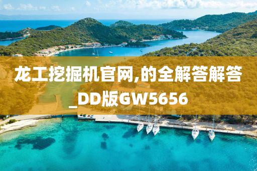 龙工挖掘机官网,的全解答解答_DD版GW5656