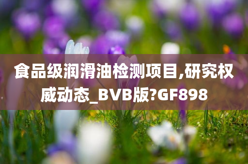 食品级润滑油检测项目,研究权威动态_BVB版?GF898