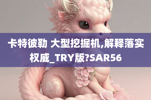 卡特彼勒 大型挖掘机,解释落实权威_TRY版?SAR56