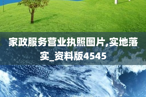 家政服务营业执照图片,实地落实_资料版4545