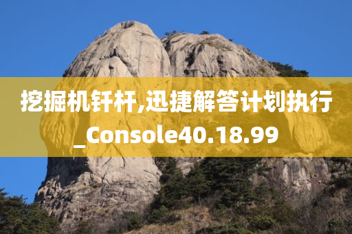 挖掘机钎杆,迅捷解答计划执行_Console40.18.99