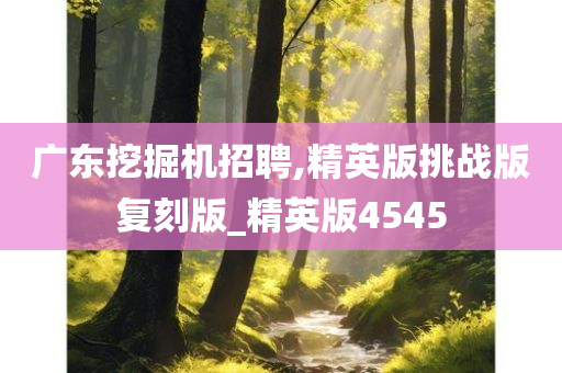 广东挖掘机招聘,精英版挑战版复刻版_精英版4545