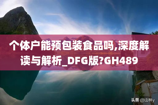 个体户能预包装食品吗,深度解读与解析_DFG版?GH489