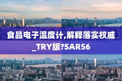 食品电子温度计,解释落实权威_TRY版?SAR56