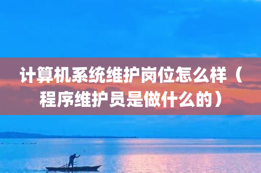 计算机系统维护岗位怎么样（程序维护员是做什么的）