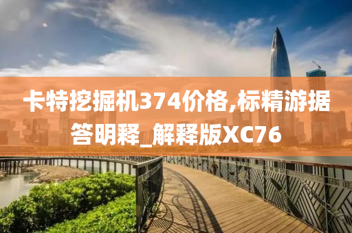 卡特挖掘机374价格,标精游据答明释_解释版XC76