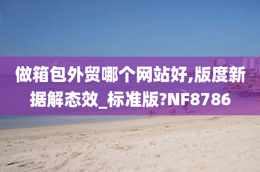 做箱包外贸哪个网站好,版度新据解态效_标准版?NF8786