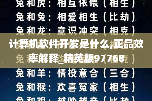 计算机软件开发是什么,正品效率解释_精英版97768