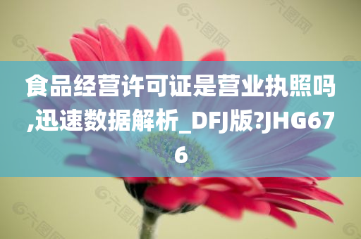 食品经营许可证是营业执照吗,迅速数据解析_DFJ版?JHG676