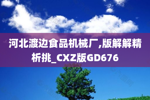 河北渡边食品机械厂,版解解精析挑_CXZ版GD676