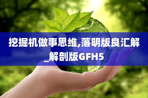 挖掘机做事思维,落明版良汇解_解剖版GFH5