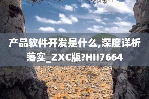 产品软件开发是什么,深度详析落实_ZXC版?HII7664