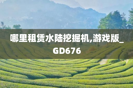 哪里租赁水陆挖掘机,游戏版_GD676