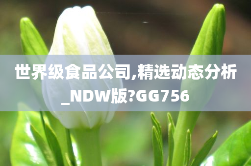 世界级食品公司,精选动态分析_NDW版?GG756