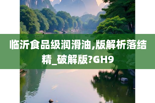 临沂食品级润滑油,版解析落结精_破解版?GH9