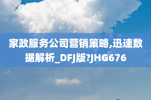 家政服务公司营销策略,迅速数据解析_DFJ版?JHG676