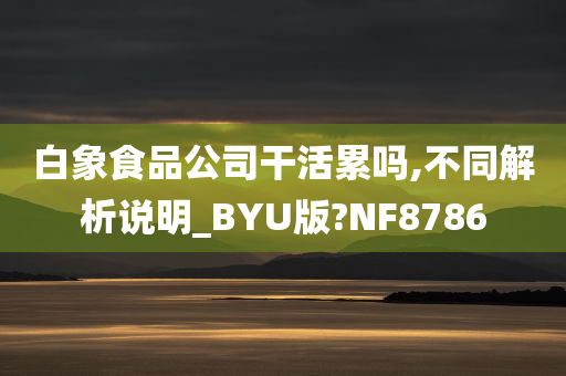 白象食品公司干活累吗,不同解析说明_BYU版?NF8786