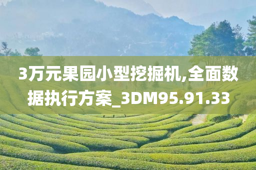 3万元果园小型挖掘机,全面数据执行方案_3DM95.91.33