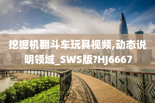 挖掘机翻斗车玩具视频,动态说明领域_SWS版?HJ6667