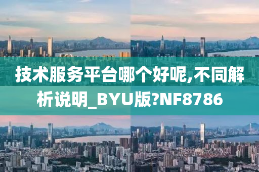 技术服务平台哪个好呢,不同解析说明_BYU版?NF8786