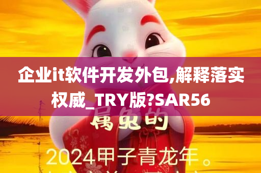 企业it软件开发外包,解释落实权威_TRY版?SAR56