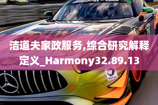 洁道夫家政服务,综合研究解释定义_Harmony32.89.13