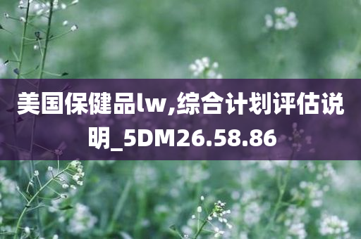 美国保健品lw,综合计划评估说明_5DM26.58.86