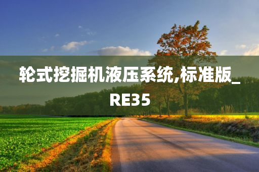 轮式挖掘机液压系统,标准版_RE35