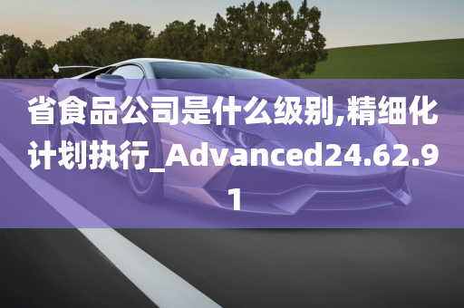 省食品公司是什么级别,精细化计划执行_Advanced24.62.91