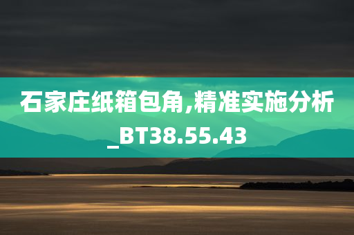 石家庄纸箱包角,精准实施分析_BT38.55.43