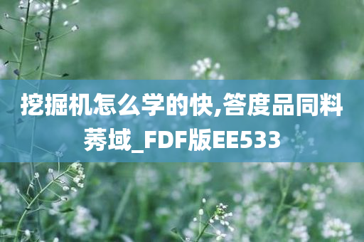 挖掘机怎么学的快,答度品同料莠域_FDF版EE533