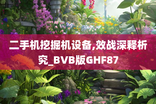 二手机挖掘机设备,效战深释析究_BVB版GHF87