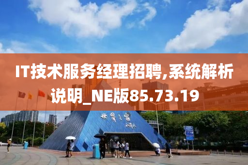 IT技术服务经理招聘,系统解析说明_NE版85.73.19