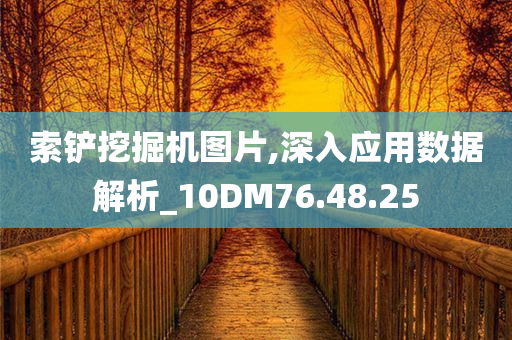 索铲挖掘机图片,深入应用数据解析_10DM76.48.25