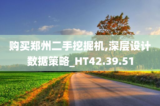 购买郑州二手挖掘机,深层设计数据策略_HT42.39.51