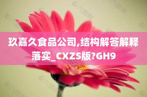 玖嘉久食品公司,结构解答解释落实_CXZS版?GH9