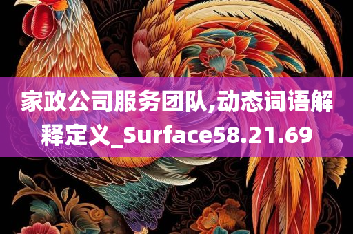 家政公司服务团队,动态词语解释定义_Surface58.21.69