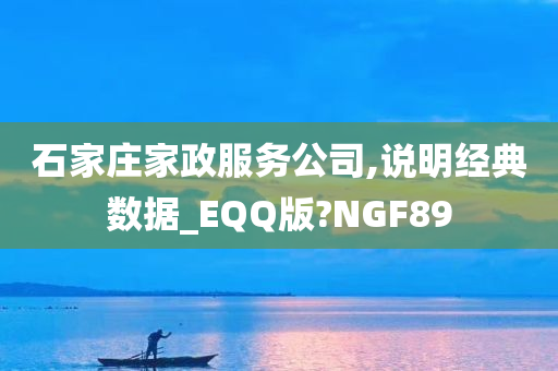 石家庄家政服务公司,说明经典数据_EQQ版?NGF89