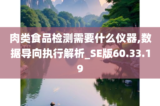 肉类食品检测需要什么仪器,数据导向执行解析_SE版60.33.19