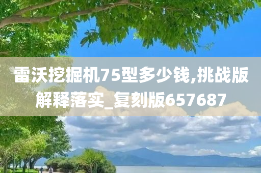 雷沃挖掘机75型多少钱,挑战版解释落实_复刻版657687