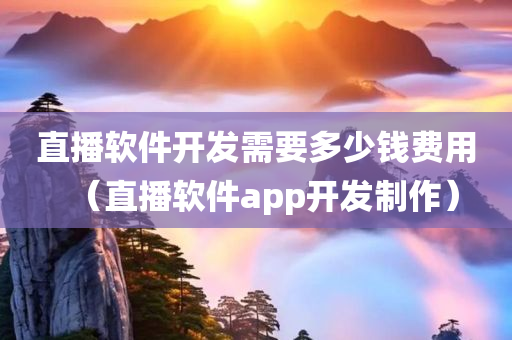 直播软件开发需要多少钱费用（直播软件app开发制作）