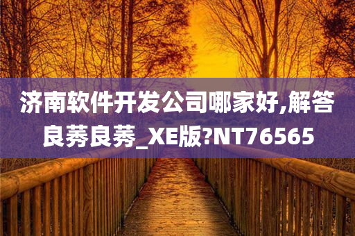 济南软件开发公司哪家好,解答良莠良莠_XE版?NT76565