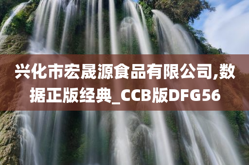 兴化市宏晟源食品有限公司,数据正版经典_CCB版DFG56